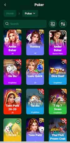 PE999 Game