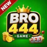Bro444 Game