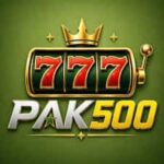 PAK 500 Game
