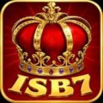 HI 309 Game Online