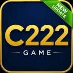 C222 Game