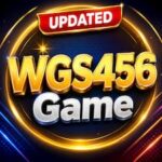 WGs456 Game
